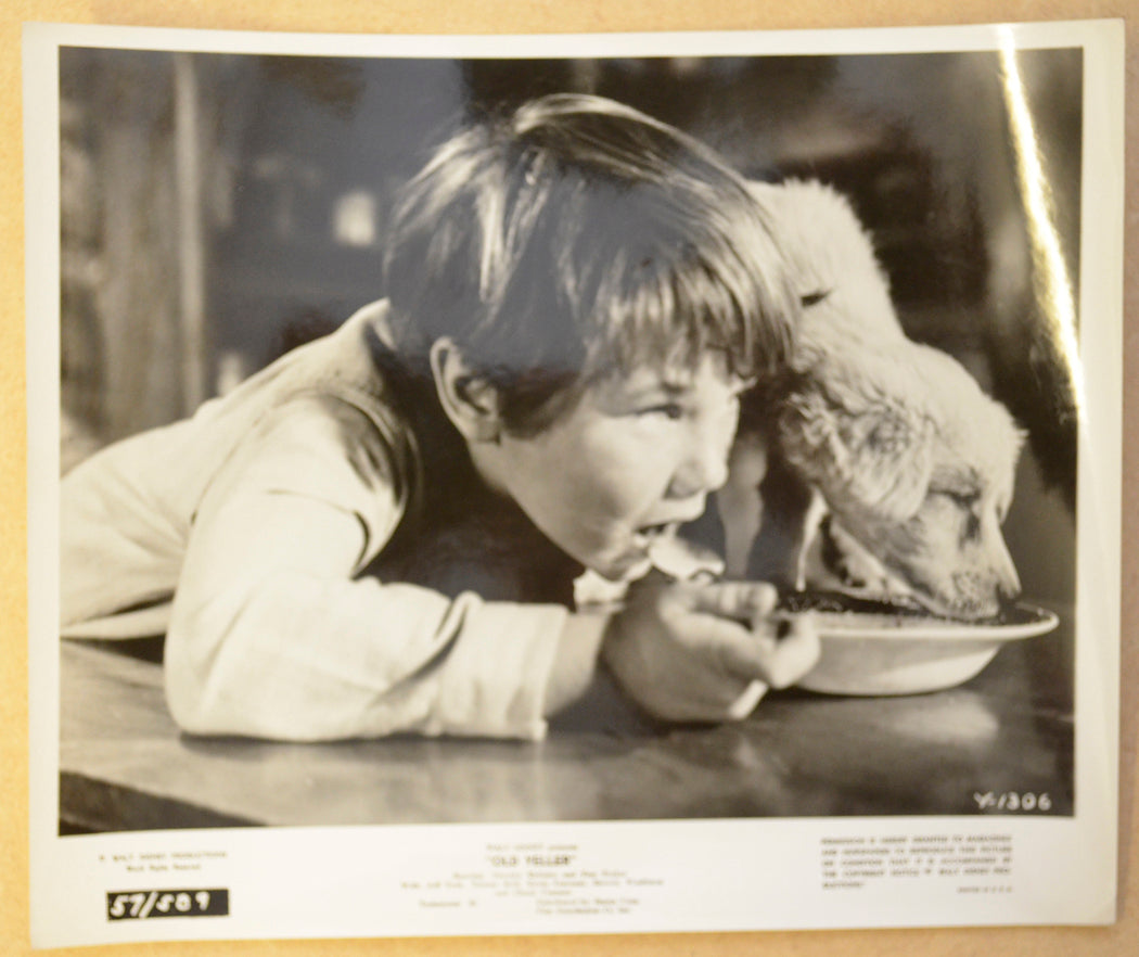 OLD YELLER (Still 7) Cinema Black and White Press Stills 