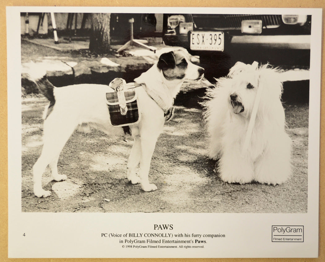 PAWS Original Cinema Press Kit – Press Still 04 