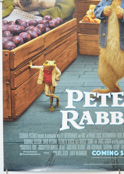 PETER RABBIT 2 (Bottom Left) Cinema One Sheet Movie Poster 