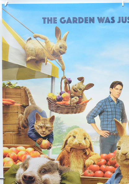 PETER RABBIT 2 (Top Left) Cinema One Sheet Movie Poster 