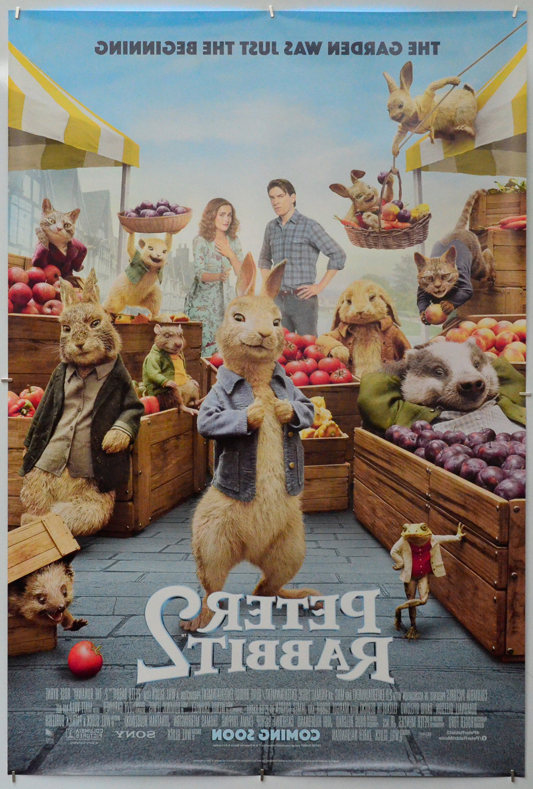 Peter Rabbit 2 (Back) Cinema One Sheet Movie Poster 
