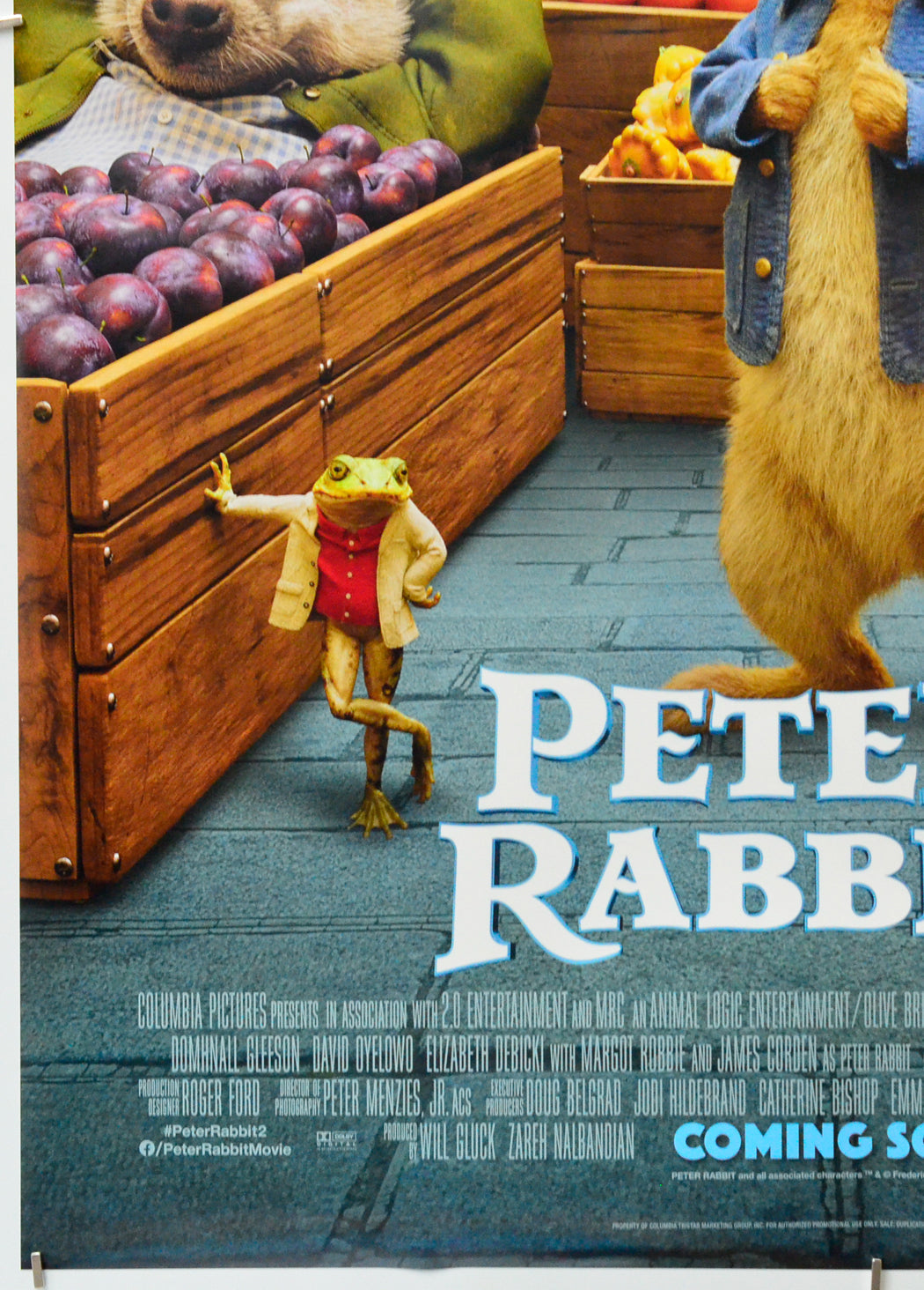 Peter Rabbit 2 (Bottom Left) Cinema One Sheet Movie Poster 