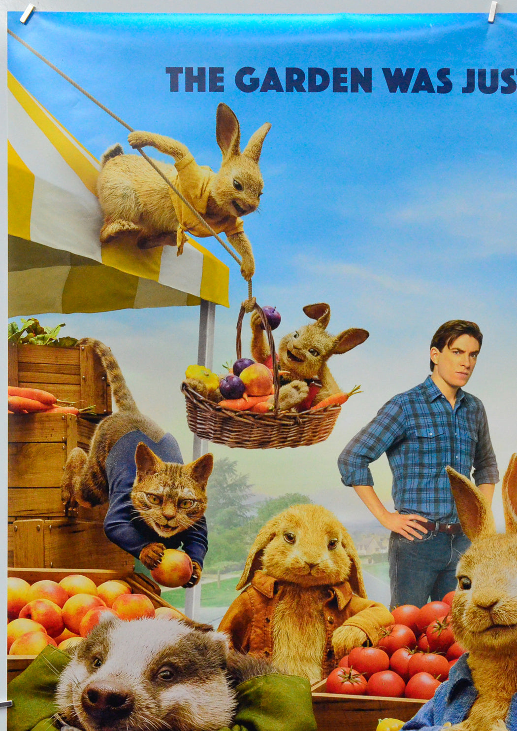 Peter Rabbit 2 (Top Left) Cinema One Sheet Movie Poster 