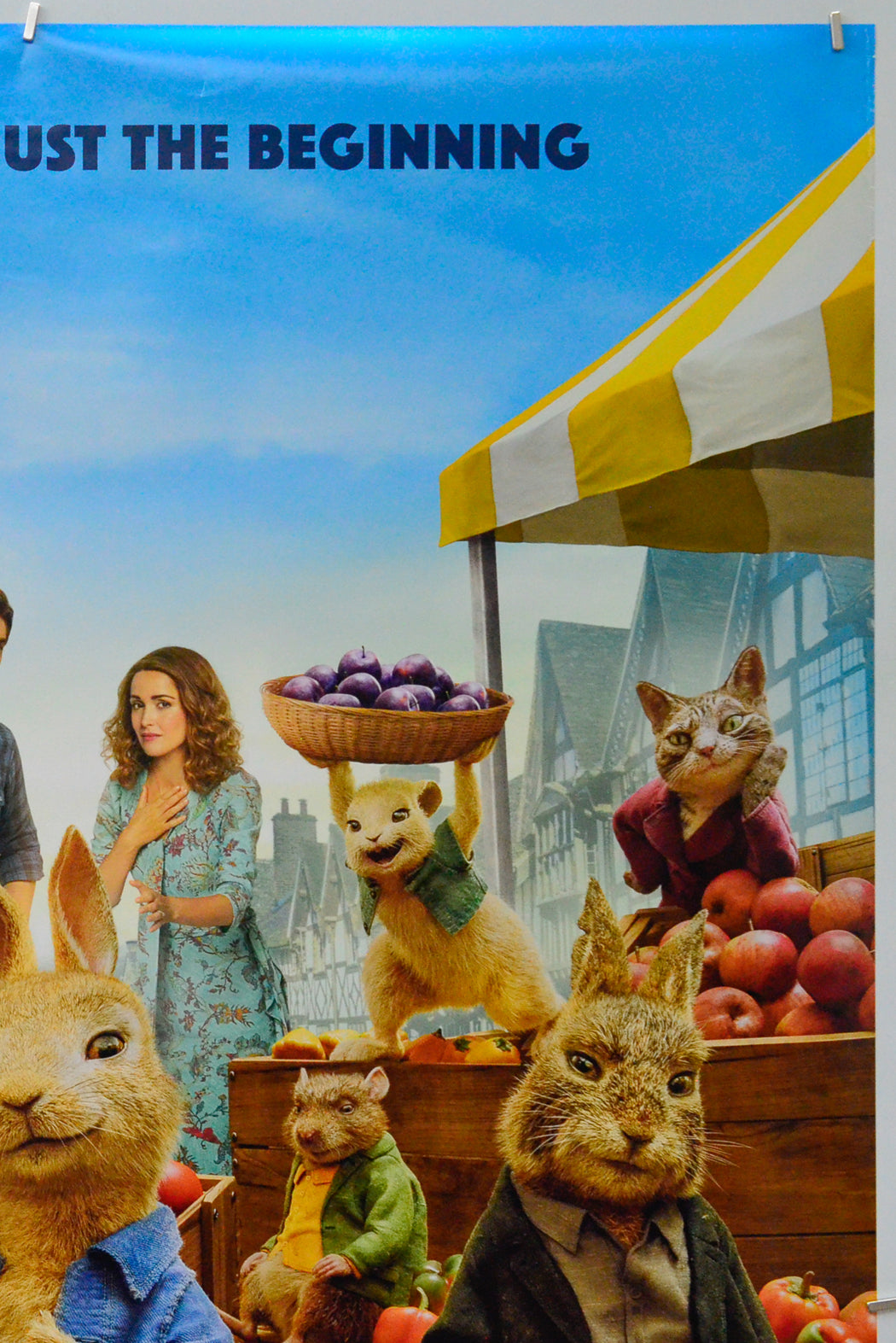 Peter Rabbit 2 (Top Right) Cinema One Sheet Movie Poster 