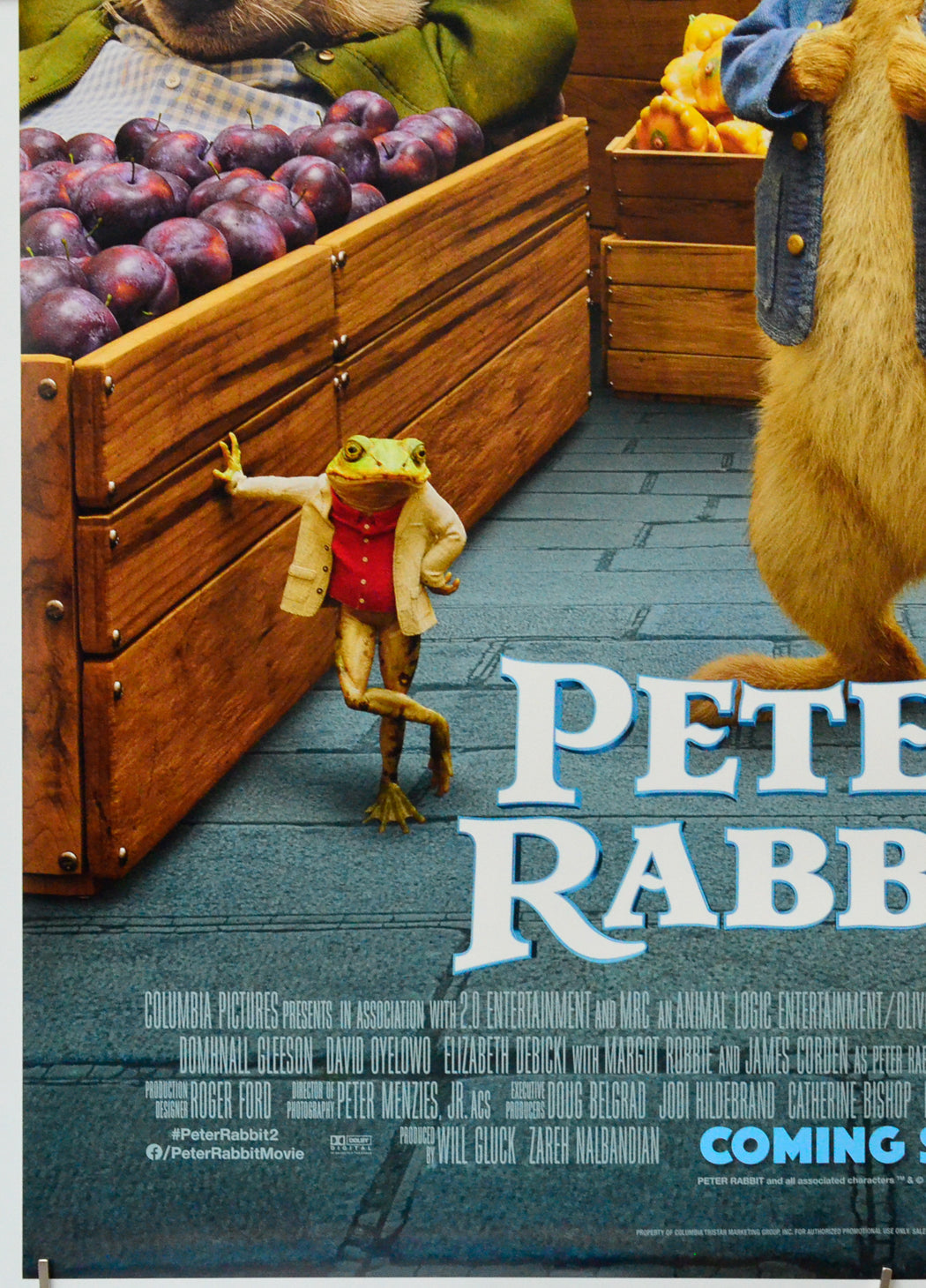 Peter Rabbit 2 (Bottom Left) Cinema One Sheet Movie Poster 