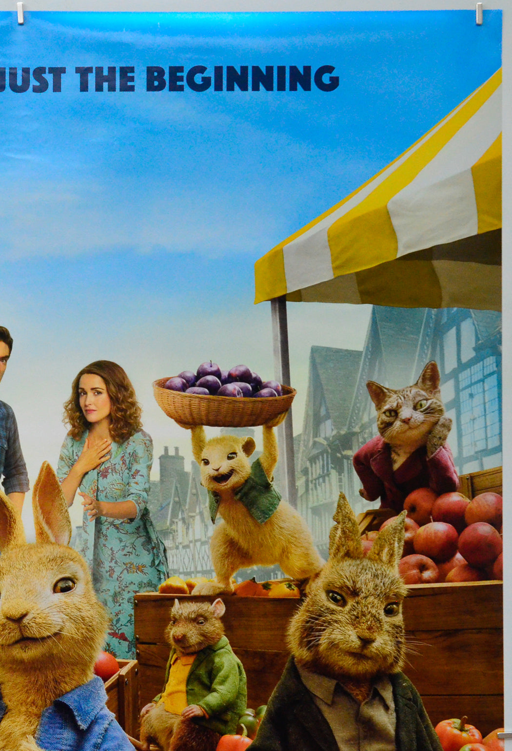 Peter Rabbit 2 (Top Right) Cinema One Sheet Movie Poster 