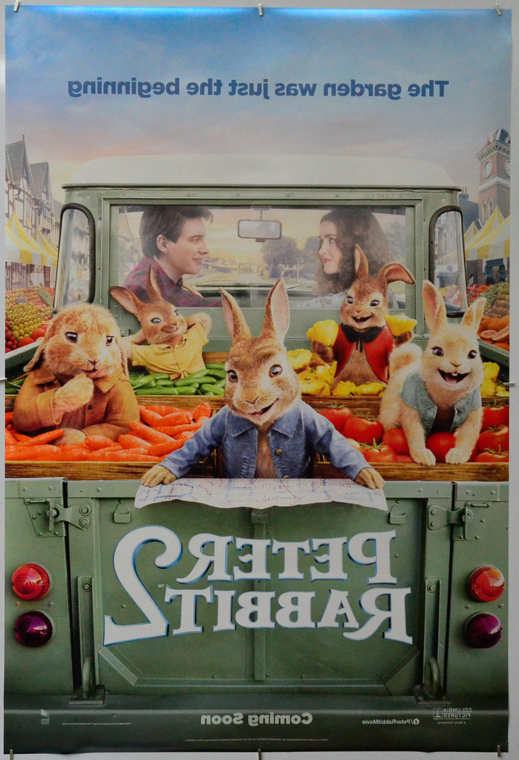 Peter Rabbit 2 (Back) Cinema One Sheet Movie Poster 