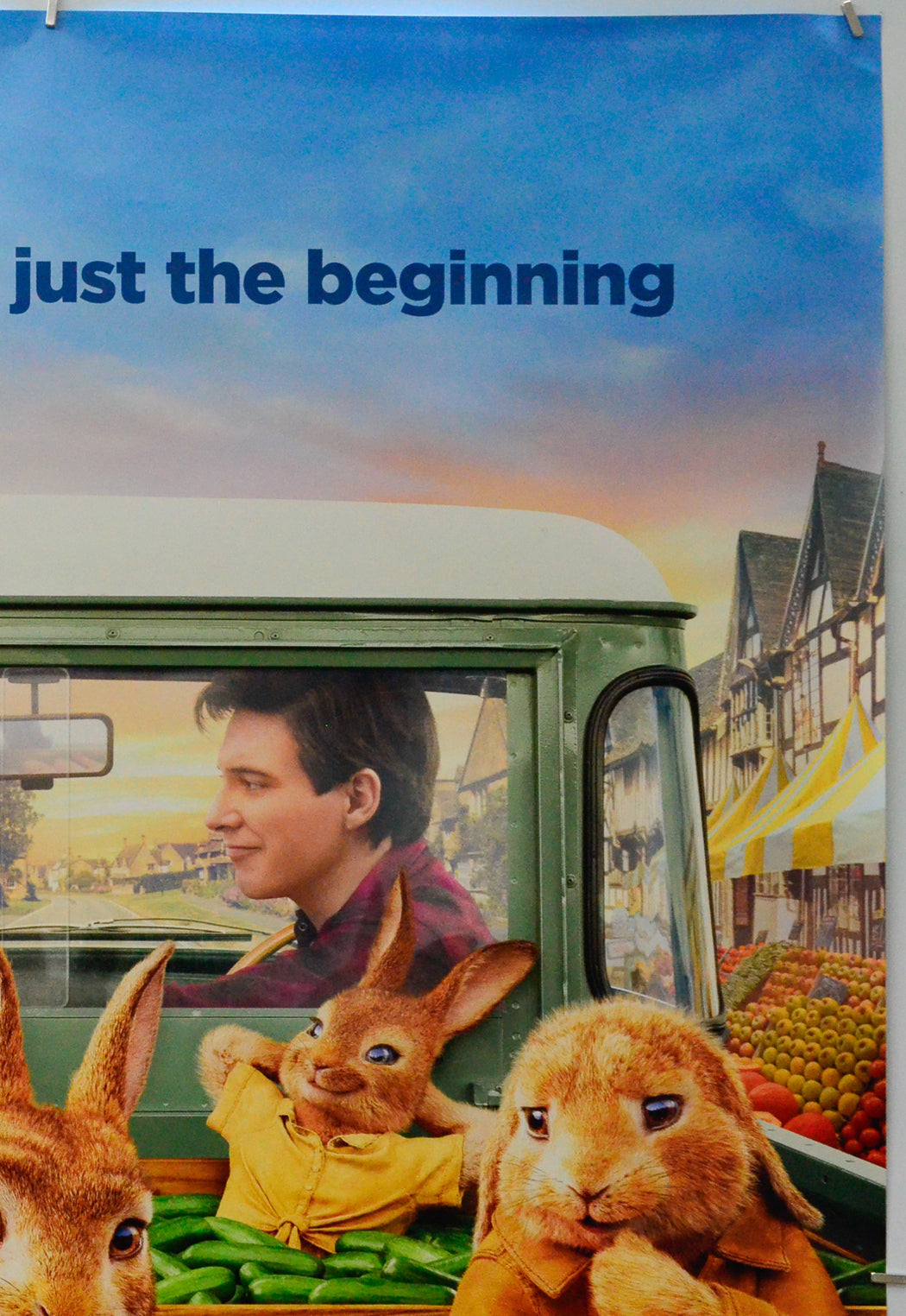 Peter Rabbit 2 (Top Right) Cinema One Sheet Movie Poster 