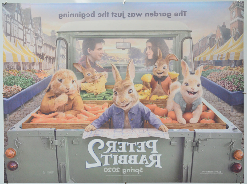 Peter Rabbit 2 (Back) Cinema Quad Movie Poster 