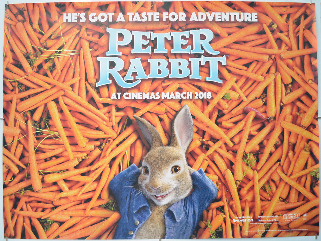 Peter Rabbit (Teaser / Advance Version) - Original Quad Poster - Film Poster - Movie Poster