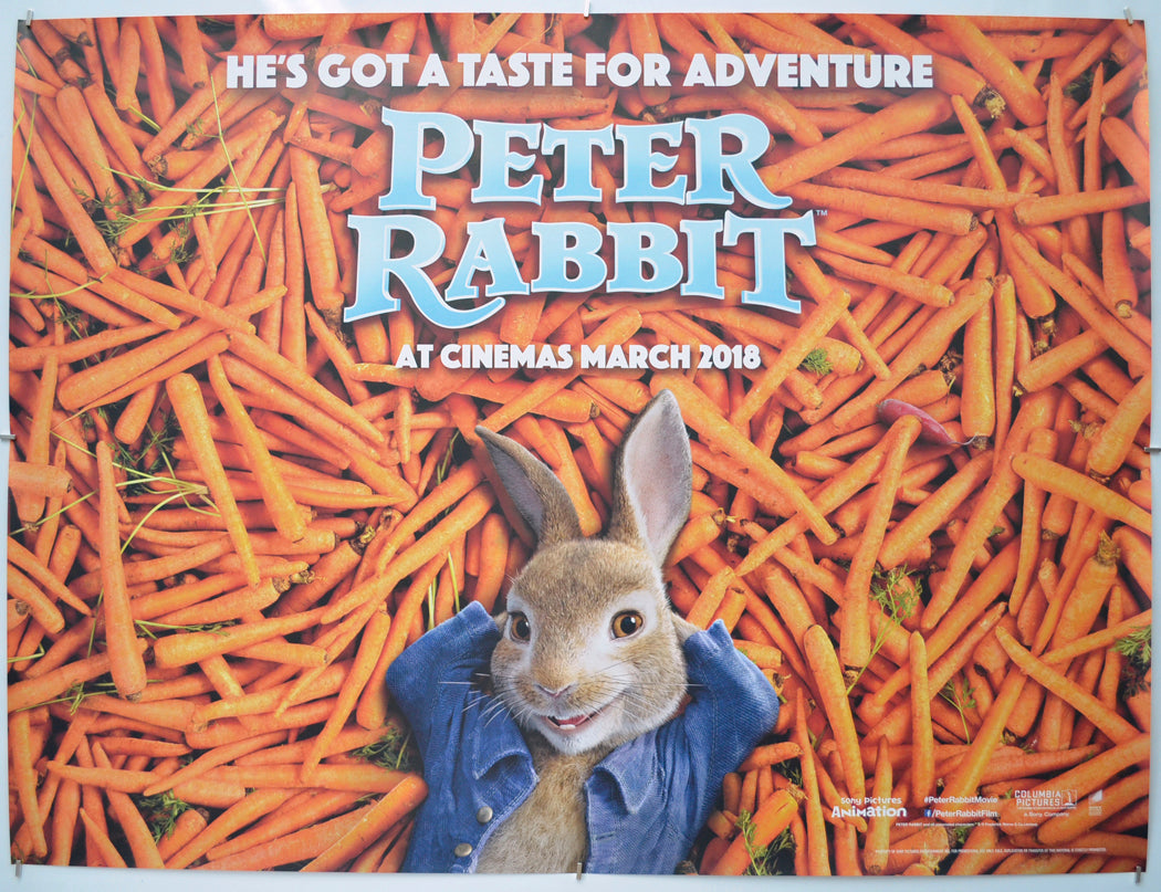 Peter Rabbit (Teaser / Advance Version) - Original Quad Poster - Film Poster - Movie Poster