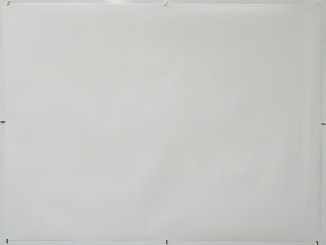 Pets on a Train (Back) Cinema Quad Movie Poster 