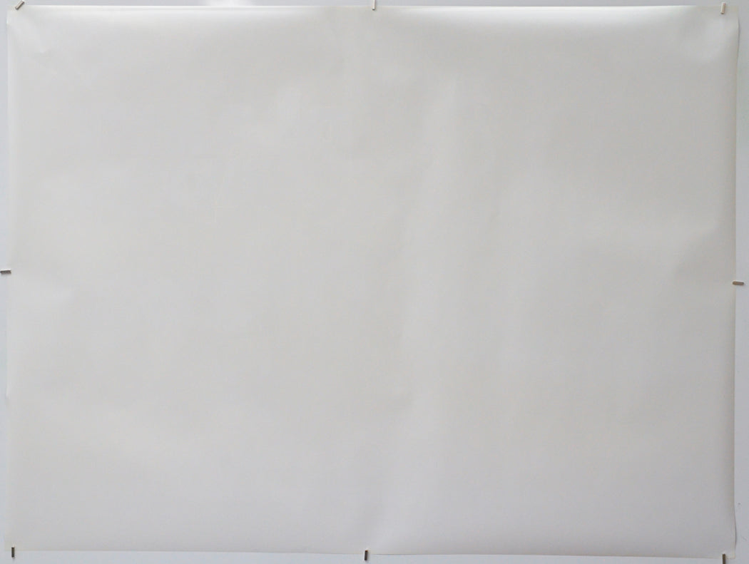 Planet Of The Apes (Back) Cinema Quad Movie Poster 