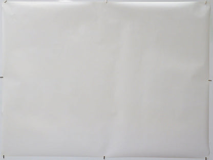 Planet Of The Apes (Back) Cinema Quad Movie Poster 