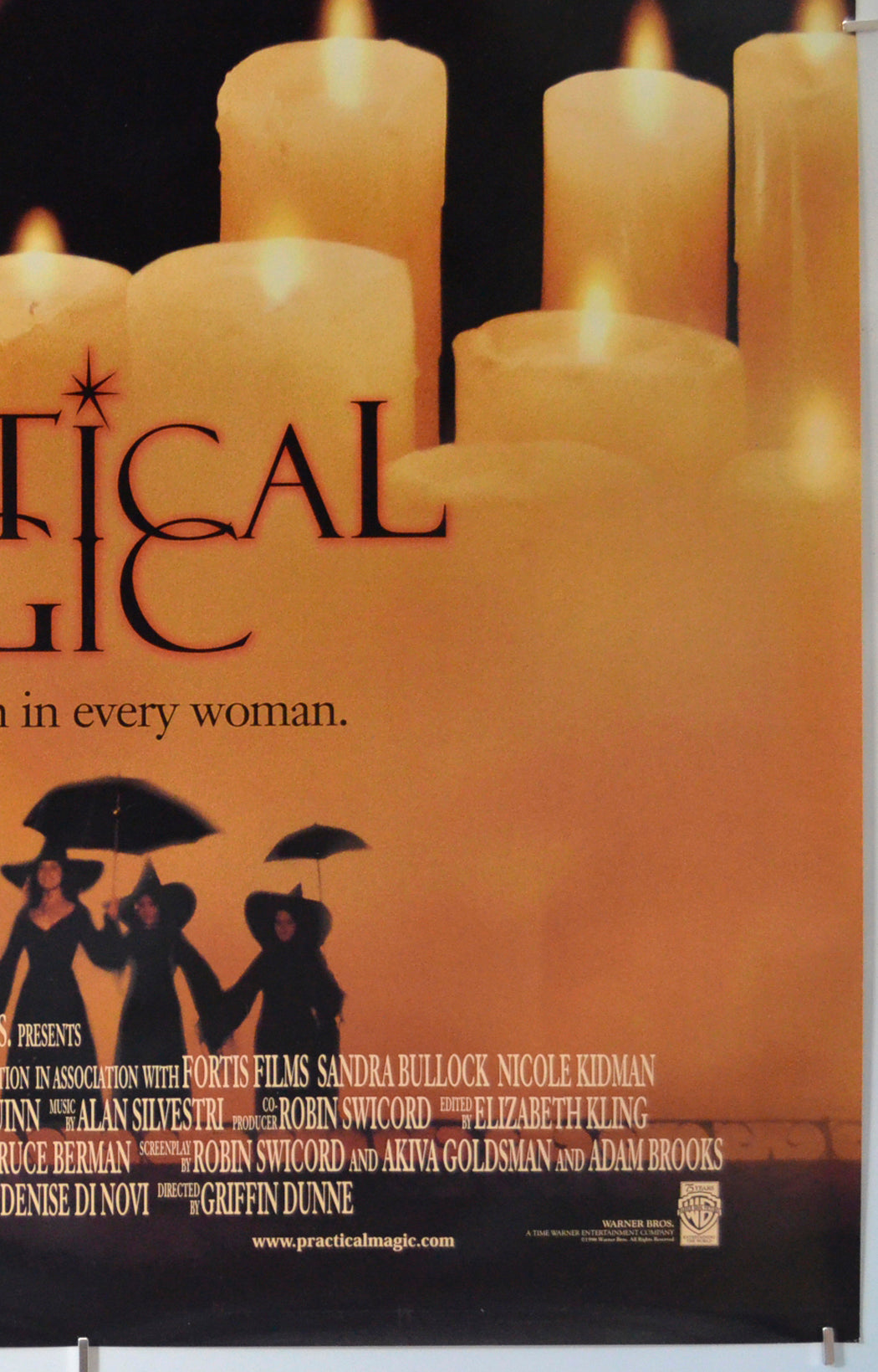 PRACTICAL MAGIC (Bottom Right) Cinema One Sheet Movie Poster 