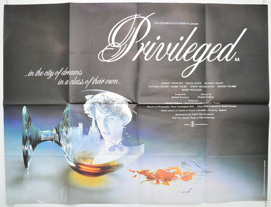 Privileged Original Quad Poster - Film Poster - Movie Poster  