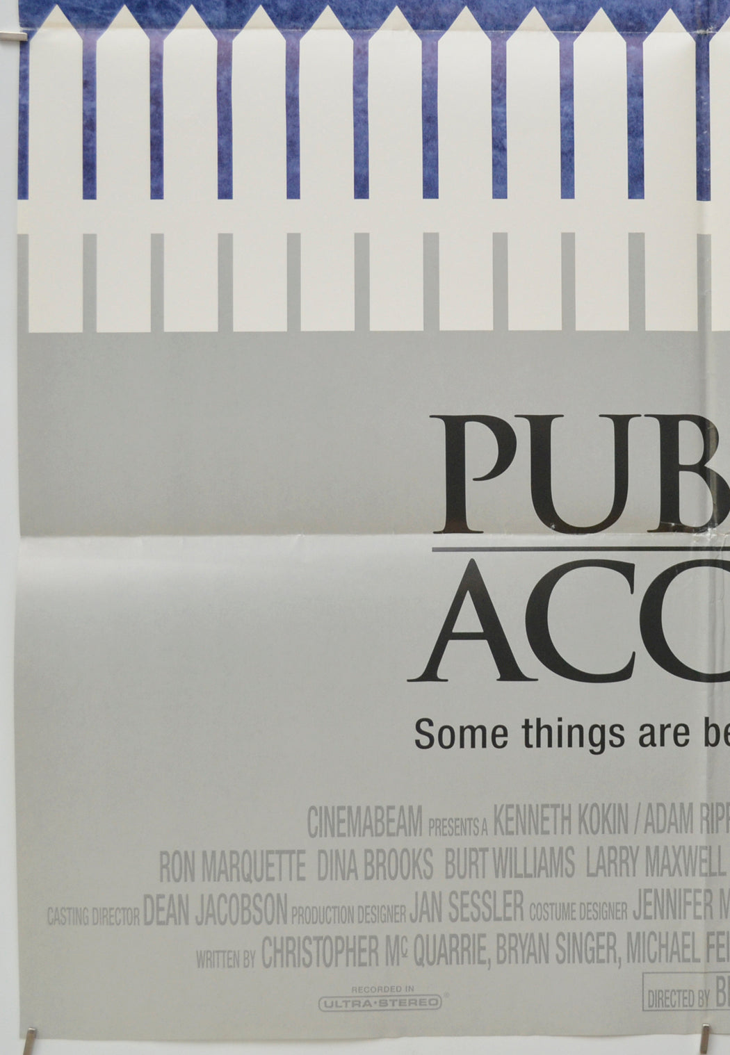 PUBLIC ACCESS (Bottom Left) Cinema One Sheet Movie Poster 