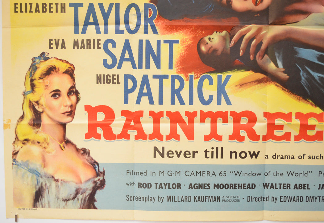 RAINTREE COUNTY (Bottom Left) Cinema Quad Movie Poster 