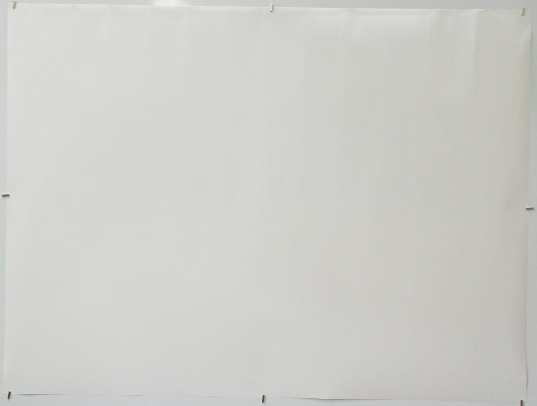 RED (with the green hair) (Back) Cinema Quad Movie Poster 