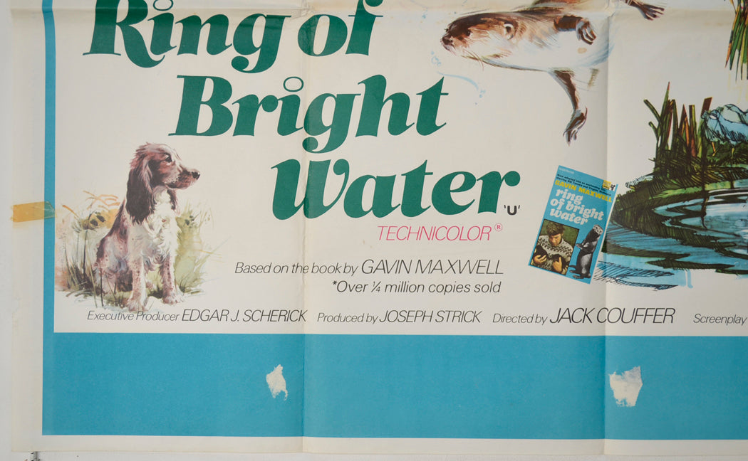 RING OF BRIGHT WATER (Bottom Left) Cinema Quad Movie Poster 