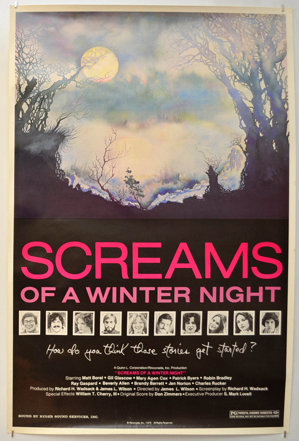 Screams Of A Winter Night Original One Sheet Poster - Film Poster - Movie Poster  