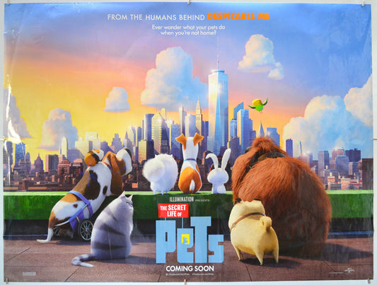 The Secret Life Of Pets - Original Quad Poster - Film Poster - Movie Poster