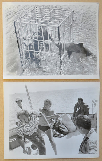 SHARK’S TREASURE (Stills 3 & 4) Cinema Black and White Press Stills 