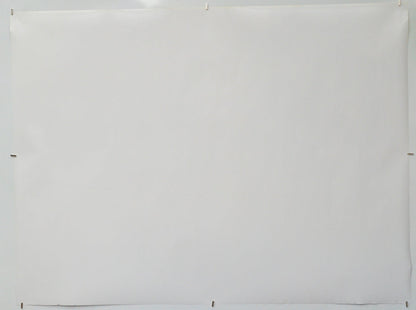 Sister Midnight (Back) Cinema Quad Movie Poster 