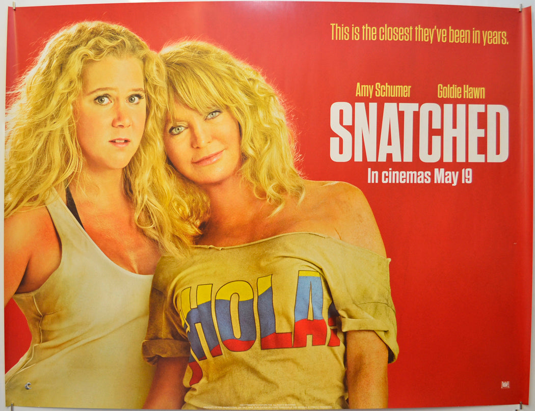 Snatched (Teaser / Advance Version) Original Quad Poster - Film Poster - Movie Poster