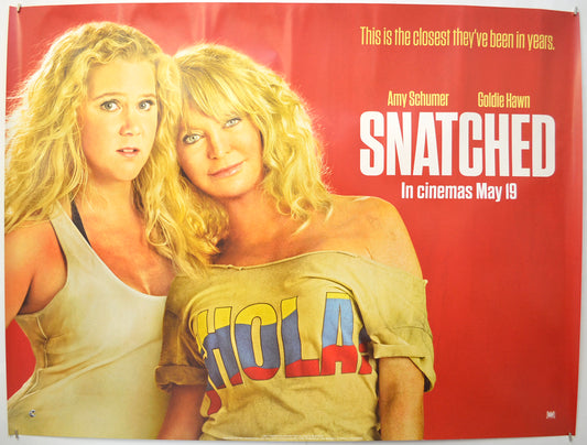 Snatched (Teaser / Advance Version) Original Quad Poster - Film Poster - Movie Poster