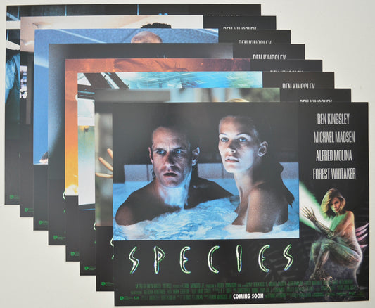 SPECIES (Full View) Cinema Set of Lobby Cards  