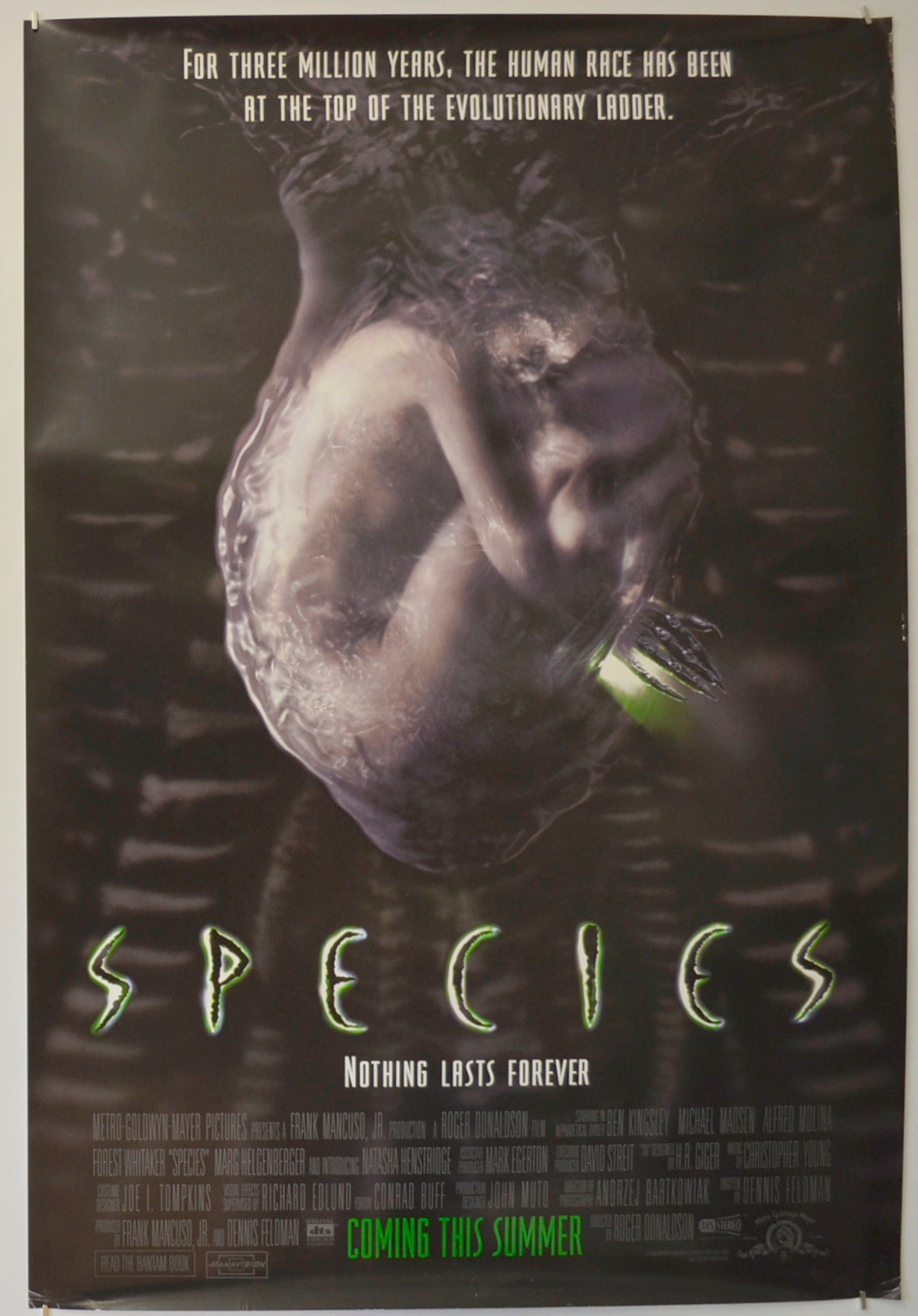 Species  Original One Sheet Poster - Film Poster - Movie Poster