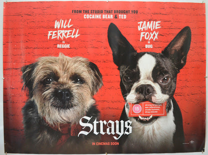 Strays Original Quad Poster - Film Poster - Movie Poster 