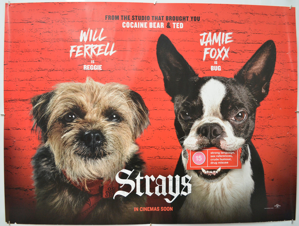 Strays Original Quad Poster - Film Poster - Movie Poster