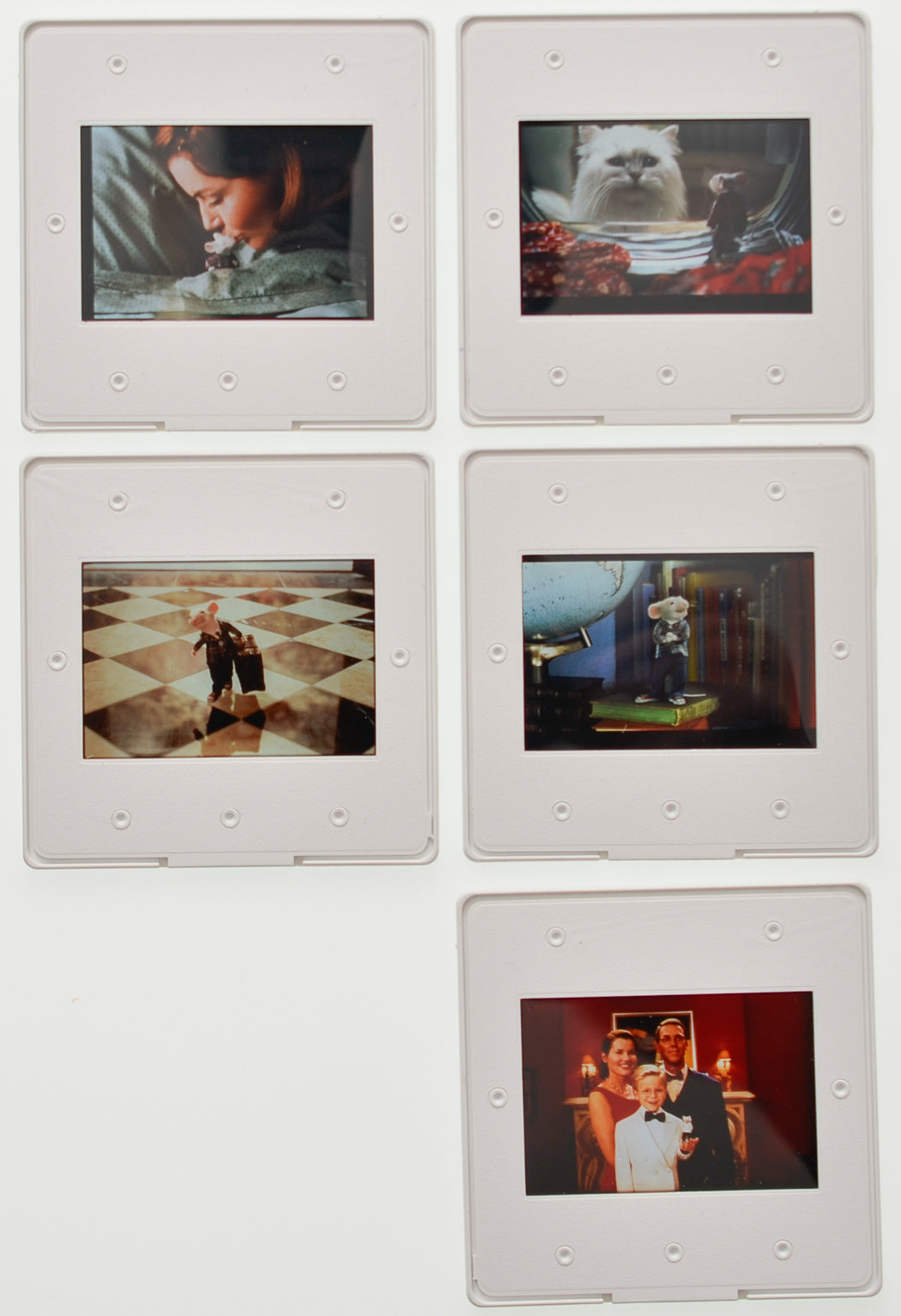 Stuart Little (Back of Slides) Original 35mm Slides - Cinema Press Slides