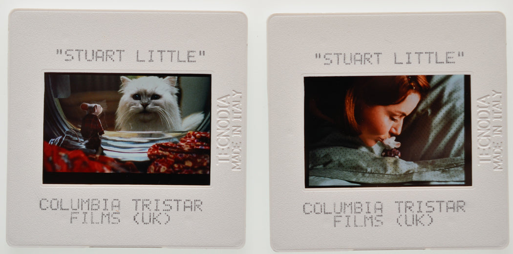 Stuart Little (Slides 1 and 2) Original 35mm Slides - Cinema Press Slides