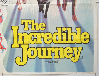 SWORD IN THE STONE / THE INCREDIBLE JOURNEY (Bottom Right) Cinema Quad Movie Poster 