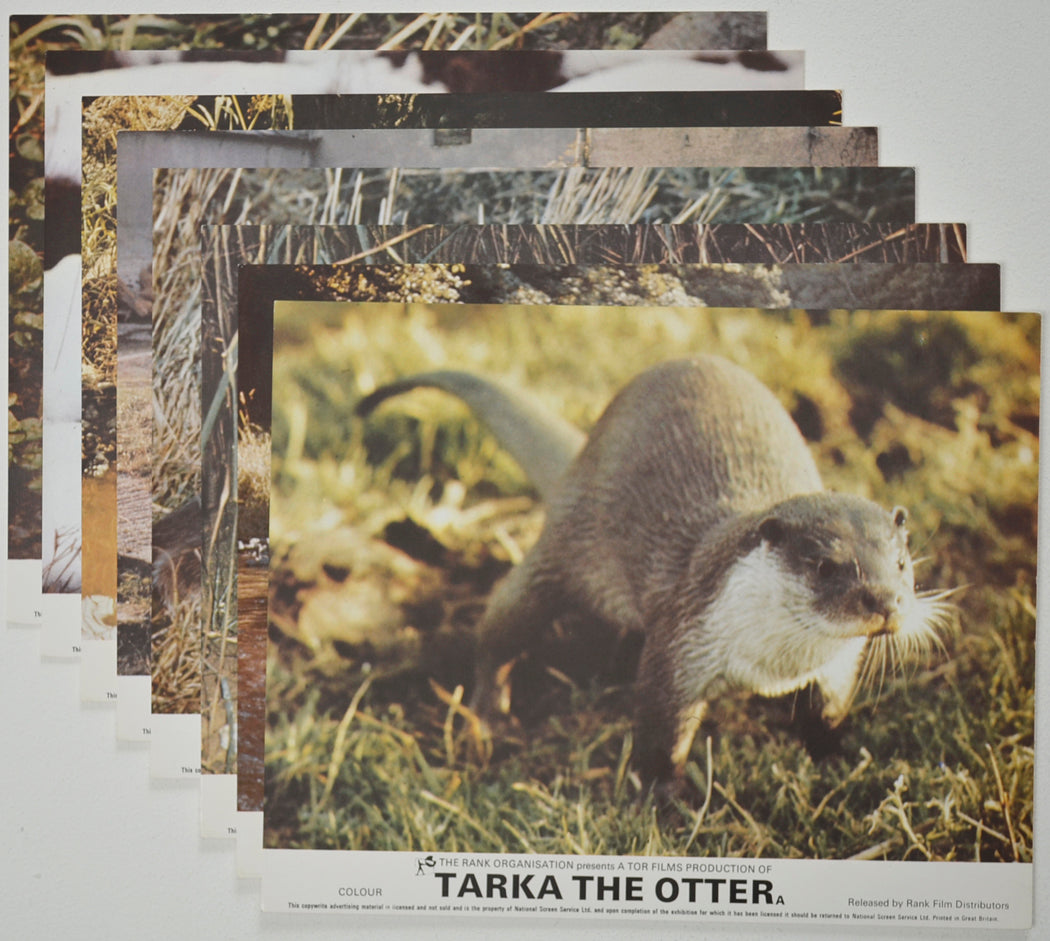 TARKA THE OTTER (Full View) Cinema Set of Colour FOH Stills / Lobby Cards  