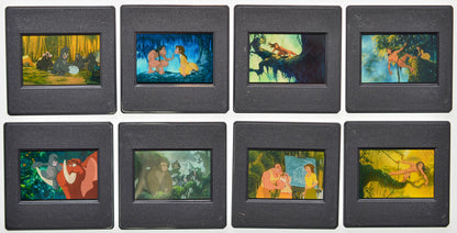Tarzan (Back of Slides) Original 35mm Slides - Cinema Press Slides