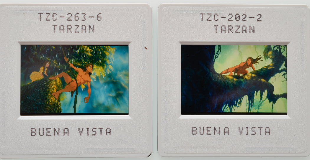 Tarzan (Slides 1 and 2) Original 35mm Slides - Cinema Press Slides