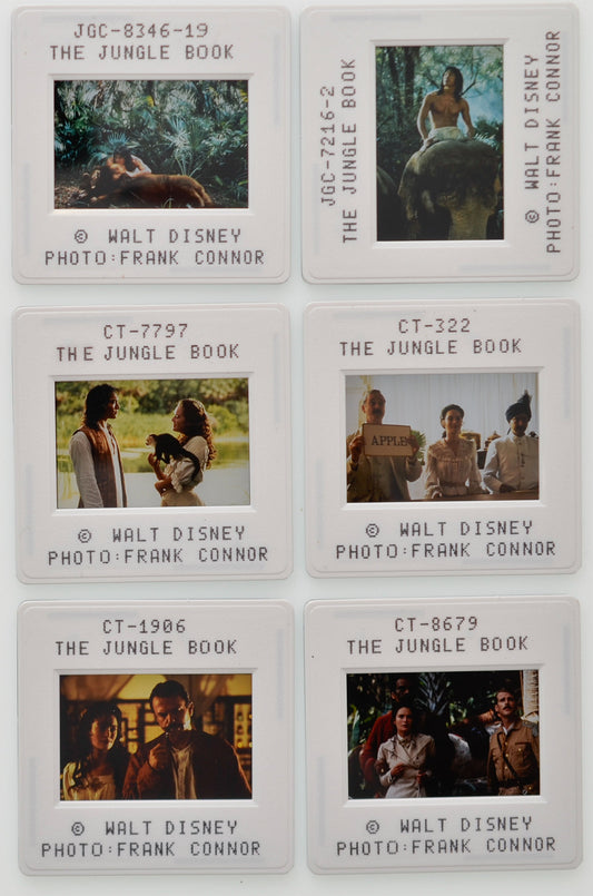 The Jungle Book - Original 35mm Slides - Cinema Press Slides