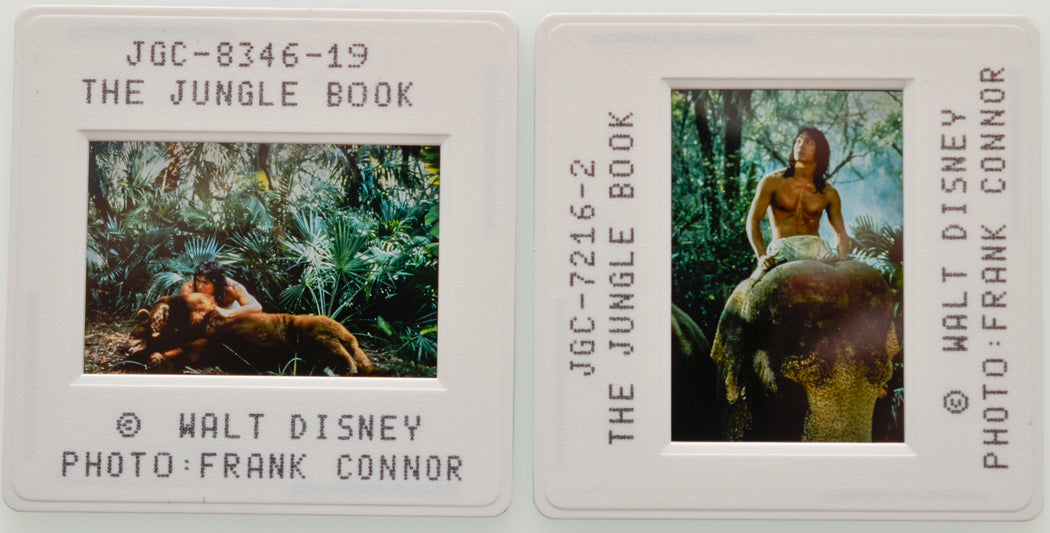 The Jungle Book (Slides 1 and 2) Original 35mm Slides - Cinema Press Slides
