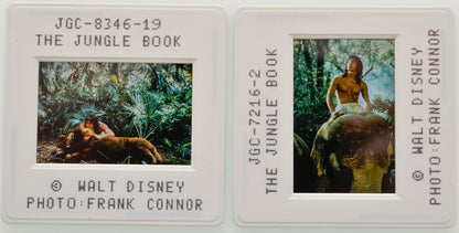 The Jungle Book (Slides 1 and 2) Original 35mm Slides - Cinema Press Slides