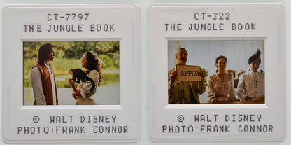 The Jungle Book (Slides 3 and 4) Original 35mm Slides - Cinema Press Slides