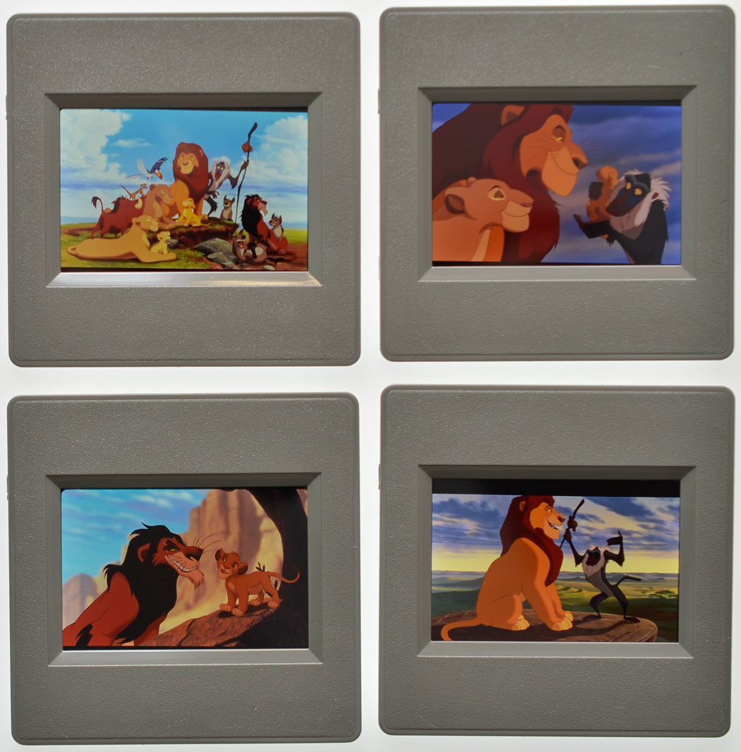 The Lion King (Back of Slides) Original 35mm Slides - Cinema Press Slides