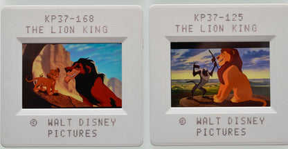 The Lion King (Slides 3 and 4) Original 35mm Slides - Cinema Press Slides