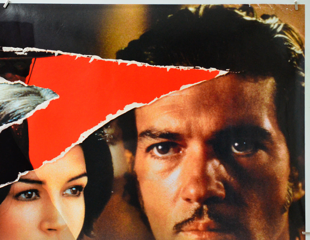 The Mask Of Zorro (Top Right) Cinema Quad Movie Poster 