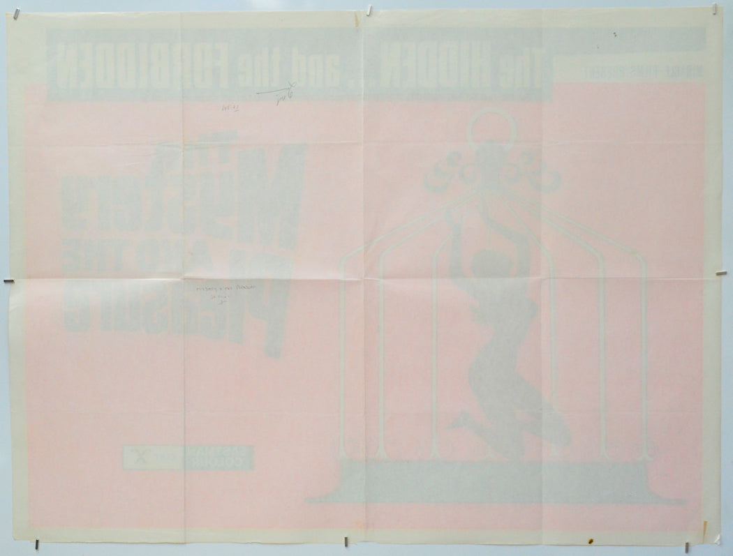 The Mystery And The Pleasure (Back) Cinema Quad Movie Poster 