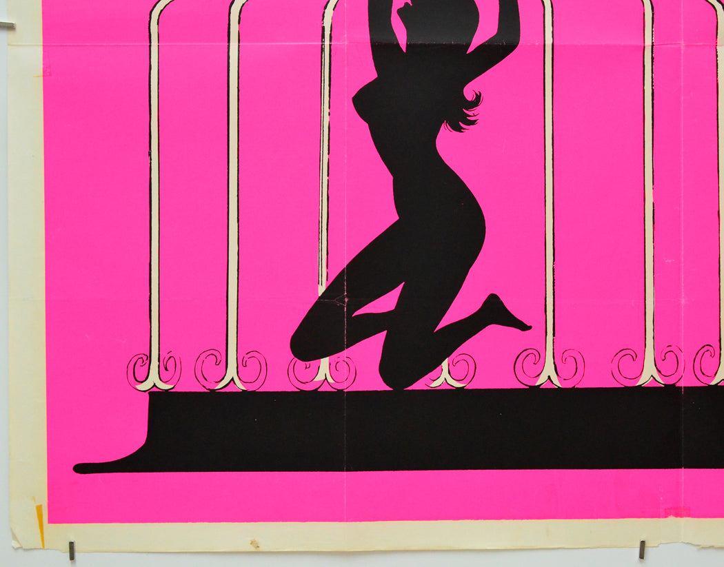 The Mystery And The Pleasure (Bottom Left) Cinema Quad Movie Poster 