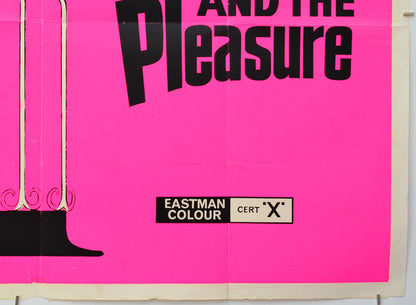The Mystery And The Pleasure (Bottom Right) Cinema Quad Movie Poster 